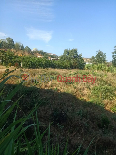 BEAUTIFUL LAND - GOOD PRICE - Owner Needs to Sell Quickly Land Lot in Dai Ninh Village - Ninh Gia - Duc Trong - Lam Dong Sales Listings