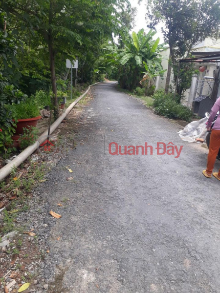 Property Search Vietnam | OneDay | Sales Listings | Land for sale in Tinh Thoi Commune, Cao Lanh City