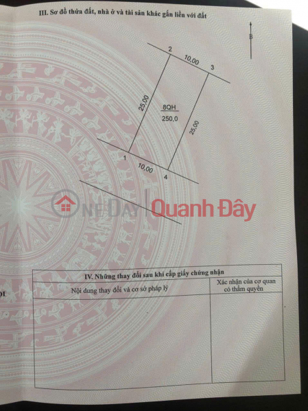 Property Search Vietnam | OneDay | Residential, Sales Listings, SUPER BEAUTIFUL LAND - INVESTMENT PRICE - Owner Sells 250M2 Land Lot in Dai Thinh Commune, Me Linh, Hanoi (Dai Thinh Center)