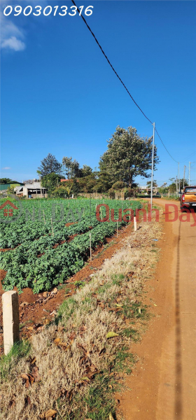 CẮT LỖ BÁN NHANH LÔ ĐẤT siêu đẹp tại TuTra Xã Đơn Dương, Lâm Đồng, Việt Nam Bán | đ 820 triệu