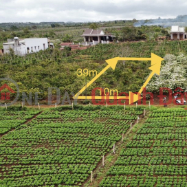 Only 1 million\/m2 to get a plot of resort land near Pleiku Airport, Gia Lai _0