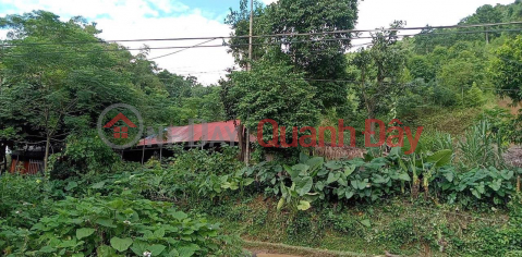 OWNER NEEDS TO SELL FAST Lot 32m Frontage Beautiful Location Da Bac District, Hoa Binh _0