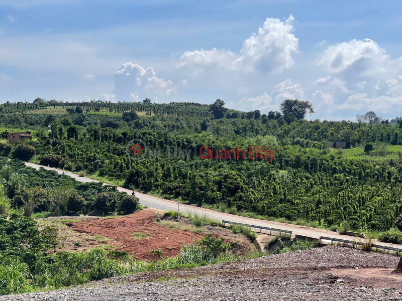 đ 630 triệu | BÁN 1000m² ĐẤT ĐẸP – GIÁ 630 TRIỆU - Vị trí: Tân Hà, Lâm Hà, Lâm Đồng
