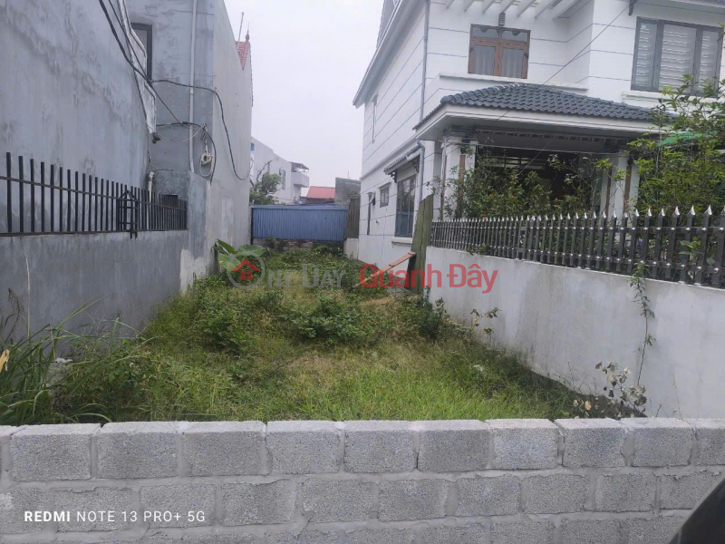 Property Search Vietnam | OneDay | Residential | Sales Listings | Owner needs to sell a plot of land in a beautiful location - good price in Bao Khe, Hung Yen City