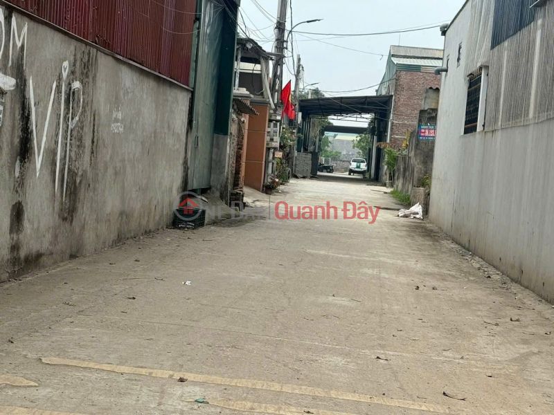 Property Search Vietnam | OneDay | Residential | Sales Listings | Selling 84m2 of auctioned land in Ben Trung, Bac Hong - Next to 40m planning road