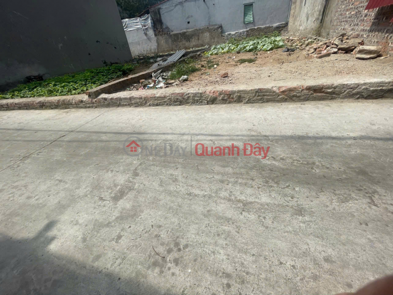 Bán 67m đất tổ 4, TT Quang Minh, Mê Linh. Gần KCN, full thổ cư, oto đỗ, Việt Nam | Bán | đ 3,7 tỷ