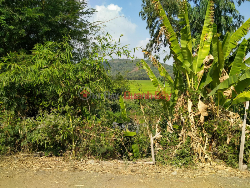 BEAUTIFUL LAND - GOOD PRICE - For Quick Sale Land Lot Prime Location In An Nong Commune, Tinh Bien Town, An Giang, Vietnam | Sales | ₫ 850 Million