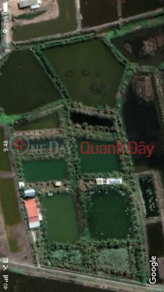 OWNER Needs To Quickly Sell Land Plot In Mau Than, Tan Xuyen Ward, Ca Mau City, Vietnam | Sales ₫ 4.9 Billion