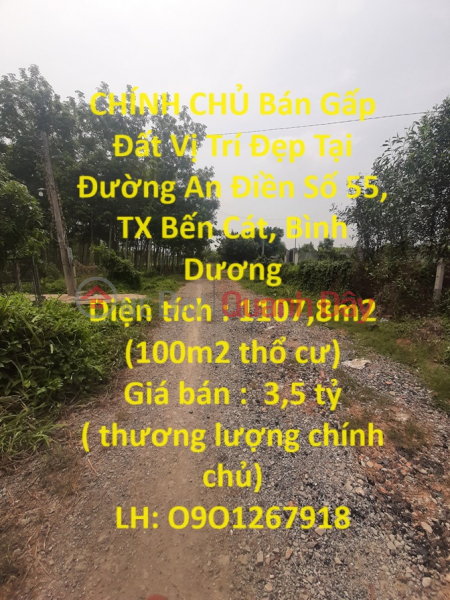 OWNER Sells Land Urgently, Nice Location At An Dien Street No. 55, Ben Cat Town, Binh Duong Sales Listings