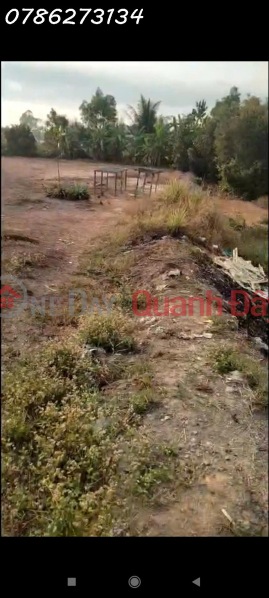 BÁN ĐẤT MẶT TIỀN 30M – TỔNG 6.975m² – CÓ 975m² THỔ CƯ – ẤP 2, XÃ TÂN ĐÔNG, HUYỆN Thạnh Hóa Việt Nam, Bán | đ 10 tỷ