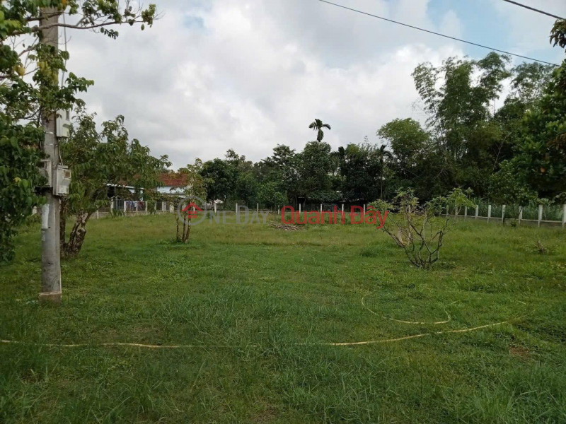 đ 4.05 Billion | BEAUTIFUL LAND - GOOD PRICE - Owner Sells Land Lot in Nam Tuong 3 Village, Nhon Tan, An Nhon Town, Binh Dinh