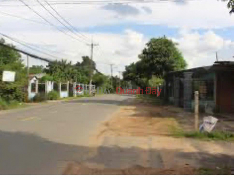 QUICK SALE OF LAND IN GOOD LOCATION IN PHU HOA DONG COMMUNE, CU CHI, HO CHI MINH CITY | Vietnam, Sales | đ 8.3 Billion