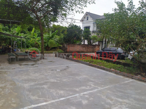 The owner needs money to urgently sell a beautiful plot of land in My Noi, Bac Hong, Dong Anh, Hanoi _0