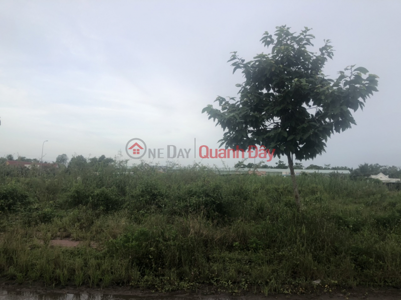 Property Search Vietnam | OneDay | Nhà ở, Niêm yết bán, CHÍNH CHỦ CẦN BÁN GẤP LÔ ĐẤT Tại Phú An, Quận Cái Răng, TP. Cần Thơ