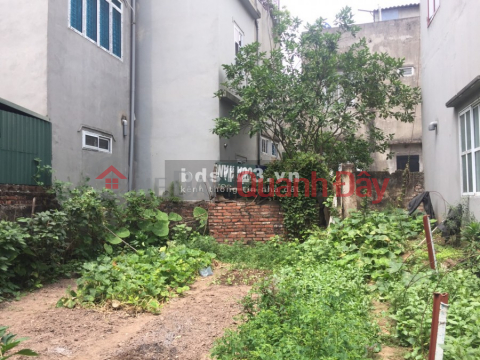 Land for sale 58m2 Tuu Liet, Thanh Tri, red book, quick transfer of ownership. _0