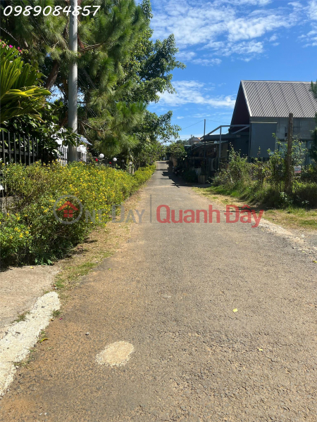 Bán khu nghỉ dưỡng tại Đường Chi Lăng, Phường Lộc Sơn, Bảo Lộc, Lâm Đồng, Việt Nam, Bán, đ 28 tỷ