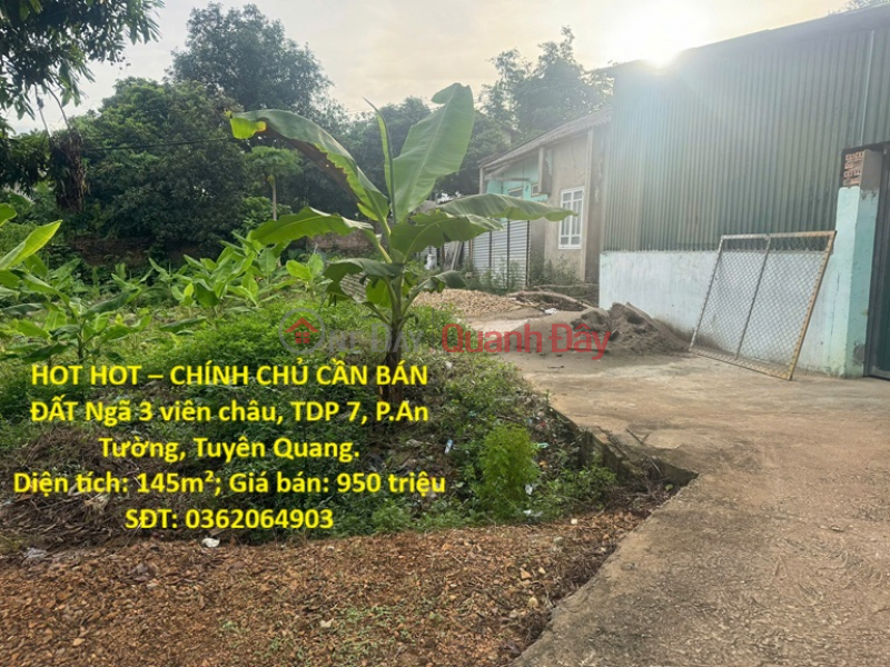HOT HOT – OWNER NEEDS TO SELL LAND at Vien Chau Junction, Group 7, An Tuong Ward, Tuyen Quang Sales Listings
