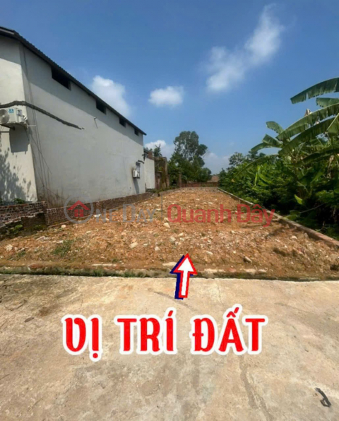 BEAUTIFUL LAND WITH FULL RESIDENTIAL LAND - OWNER FOR QUICK SALE At XUAN DONG, TAN MINH, SOC SON _0