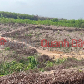 OWNER'S LAND - GOOD PRICE - 2 LOTS In Tri An Commune, Vinh Cuu District, Dong Nai Province _0