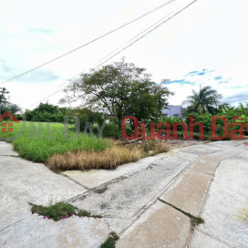 OWNER'S LAND 220m2 Beautiful Location at Hamlet 2B, Tan An Commune, Can Duoc, Long An _0