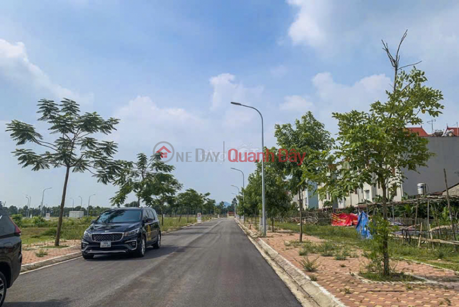 HOT HOT! Residential area for sale with an area of 180m2 near Buu Long Bien Hoa Tourist Area Sales Listings