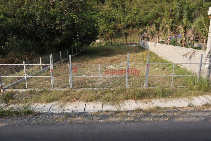 Property Search Vietnam | OneDay | Residential | Sales Listings, URGENT!! OWNER REDUCES PRICE FOR QUICK SALE OF LAND LOT FRONTING PROVINCIAL ROAD 3, CAM LAM - REDUCED TO ONLY 2.85 BILLION!