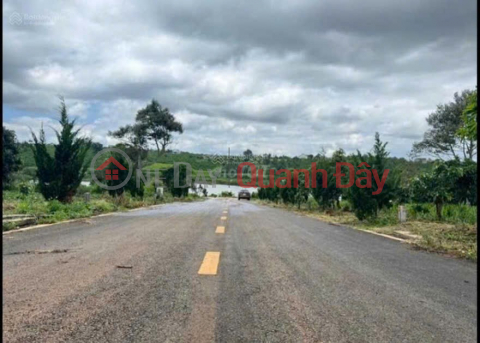 BEAUTIFUL LAND - FRONTAGE - Owner Needs to Quickly Sell Lot in Prime Location with 3 Frontages in Lam Ha District _0