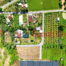 CHỈ CÒN 09 LÔ ĐẸP – TRUNG TÂM SUỐI TIÊN, HUYỆN DIÊN KHÁNH. KHÁNH HÒA _0