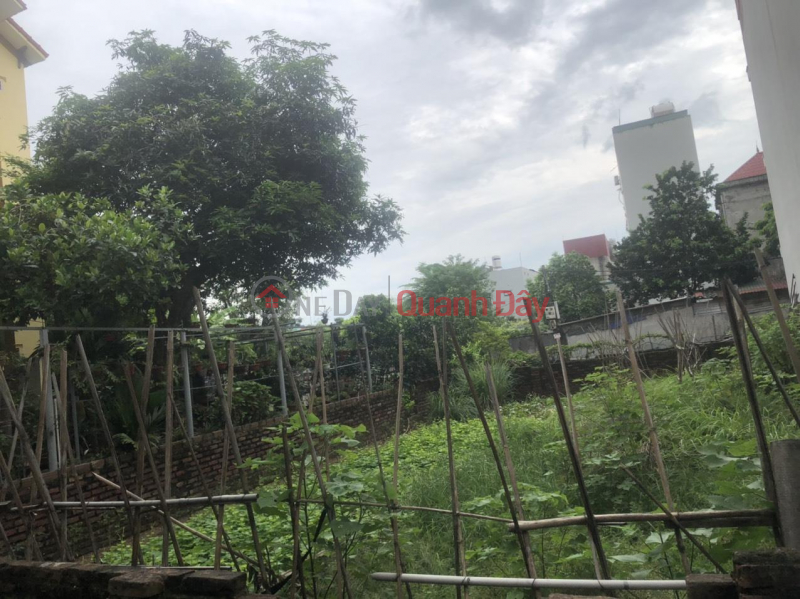 The owner needs to sell urgently 66.5m Dong Tru Hamlet, Dong Hoi Commune, Dong Anh Highway 7c public price 53 million\\/m2 for investment or Sales Listings