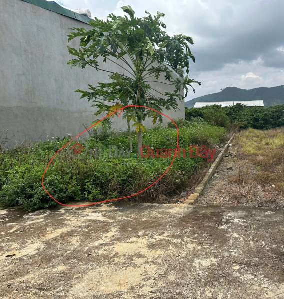 Làm ơn chọn | Nhà ở, Niêm yết bán, đ 900 triệu