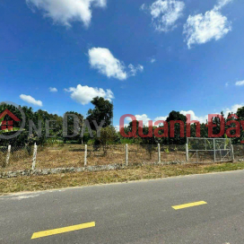 Đất mặt tiền Tỉnh Lộ 2, Xã Diên Thọ, Huyện Diên Khánh, Khánh Hòa - Đất có sẵn vườn cây trái _0