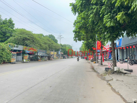 1.5-storey house for sale in Chi Dong 1 village, Quang Minh commune. Near Woodsland wood company - Quang Minh Industrial Park _0