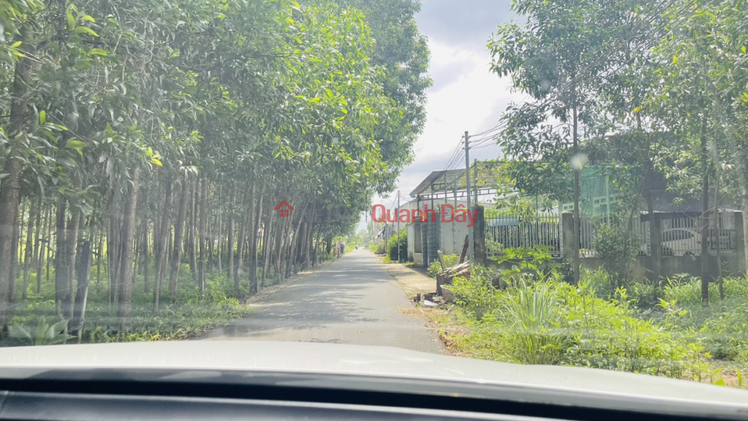 Owner Quickly Sells Lot of Land in Beautiful Location in Long An Commune, Long Thanh District, Dong Nai Vietnam, Sales | ₫ 6.2 Billion