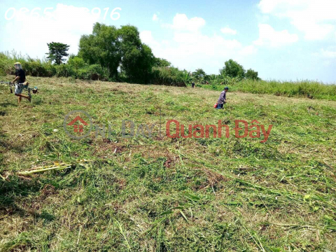 OWNER SELLING LAND FOR PLANTING PERMANENT TREES IN HOC MON - DISTRICT 12 - HO CHI MINH CITY _0