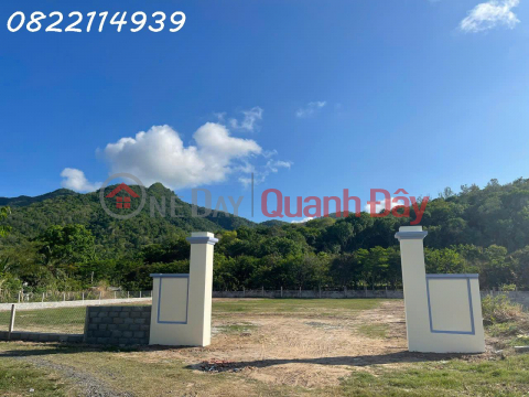 For sale: A prime 5,200m2 plot of residential land located right in the center of Chau Pha commune, surrounded by a stream. _0