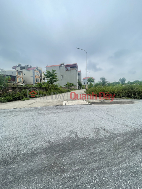 Land for sale in Dong Hoi Dong Anh 59m by car, near Tu Lien Bridge _0