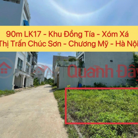OWNER SELLS 90M2 SERVICE LOT IN DONG TIA-CHUC SON TOWNSHIP-CHUONG MY-HANOI _0