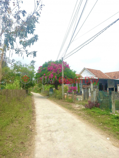 Urgent Sale of Residential Land Plot, Located Right on the Street Front of Ninh Than Commune, Ninh Hoa - Price Only 500 Million!, Vietnam | Sales đ 500 Million