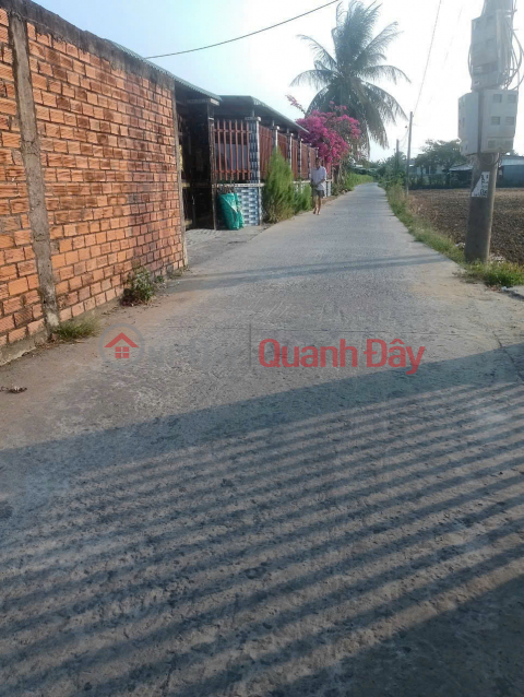 1 unique plot next to Nhat Chanh Industrial Park, Ben Luc, Hoa Binh Industrial Park, Thu Thua _0