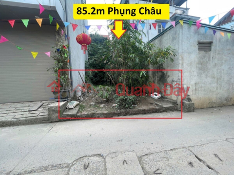 HÀNG SIÊU HIẾM 85,2M TẠI PHỤNG CHÂU-CHƯƠNG MỸ-HÀ NỘI _0