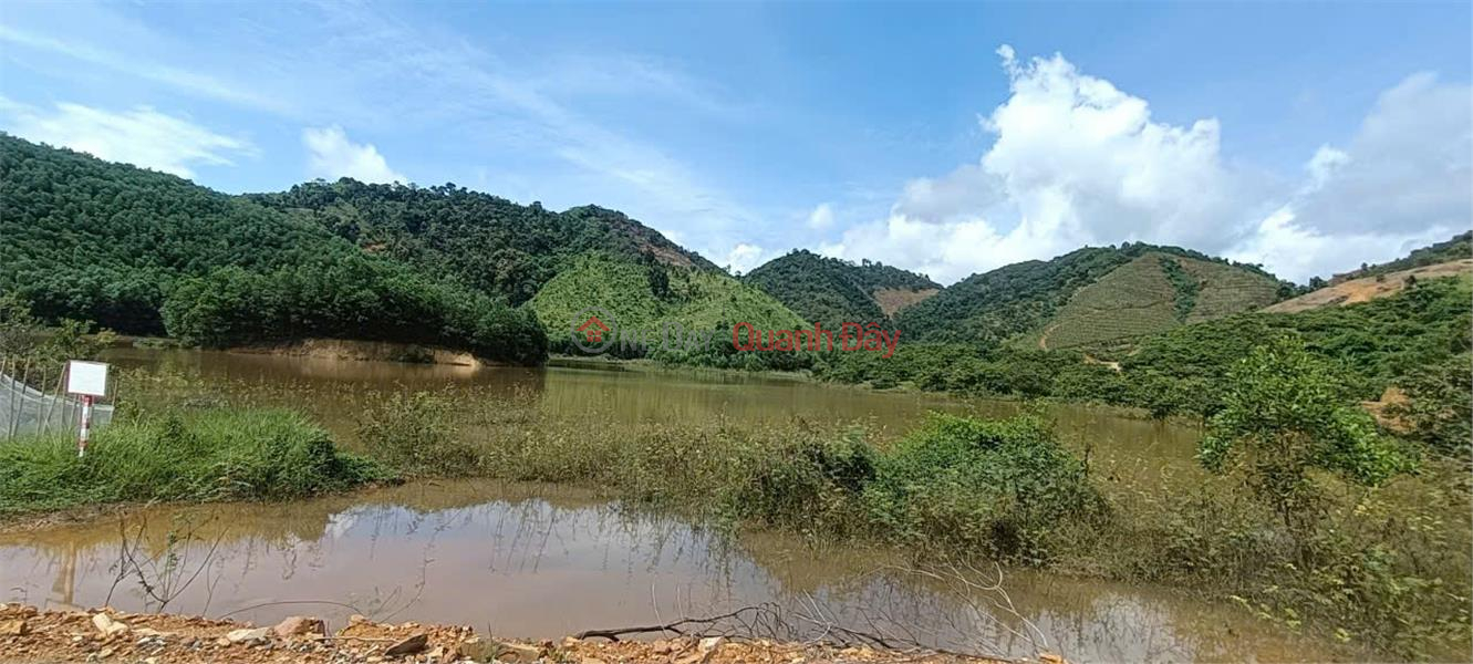 BEAUTIFUL LAND - GOOD PRICE - Need to sell a plot of land for growing perennial trees in Nam Ninh Commune - Cat Tien District - Lam Dong | Vietnam Sales đ 2.7 Billion