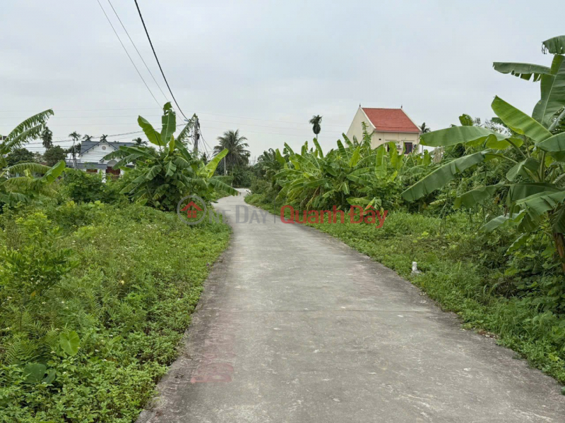 GIÁ 1X TRIỆU/M² – LÔ ĐẤT TUYẾN 2 TRUNG NGHĨA, DIỆN TÍCH LỚN, ĐƯỜNG Ô TÔ TRÁNH ZALO 0567 222 555, Việt Nam Bán, đ 3 tỷ