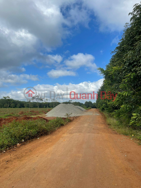 Need to transfer land with full book, residential Phu Loc - Krong Nang - Dak Lak | Vietnam Sales đ 660 Million