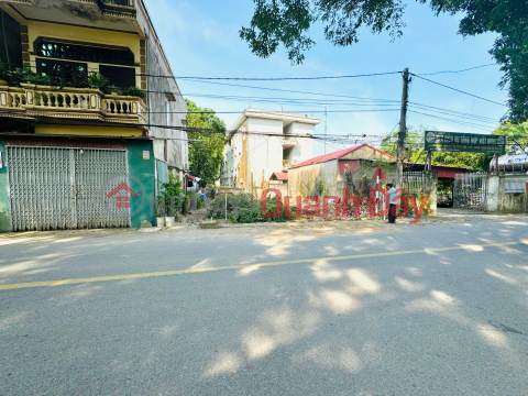 Need to sell 55m land plot on DH15 road, Viet Hung Commune, Van Lam, Hung Yen, good business _0