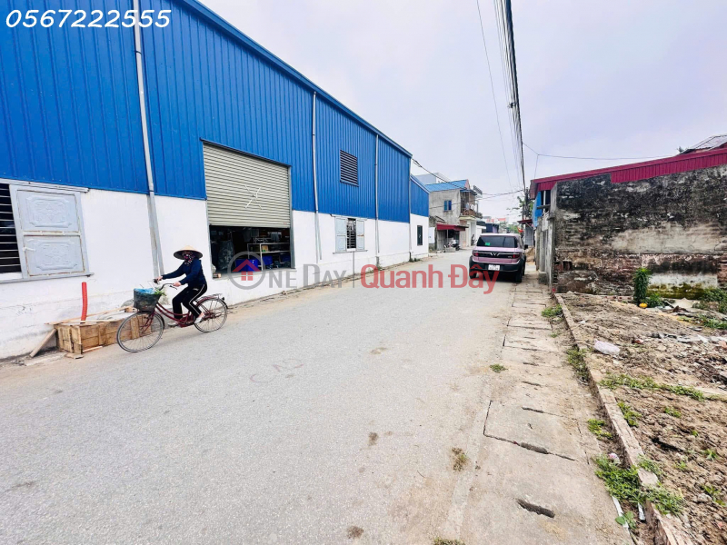 Chính chủ bán đất tuyến 2 tỉnh lộ 403, thôn Ngũ Đoan, huyện Kiến Thụy, Hải Phòng. Việt Nam Bán đ 2,03 tỷ