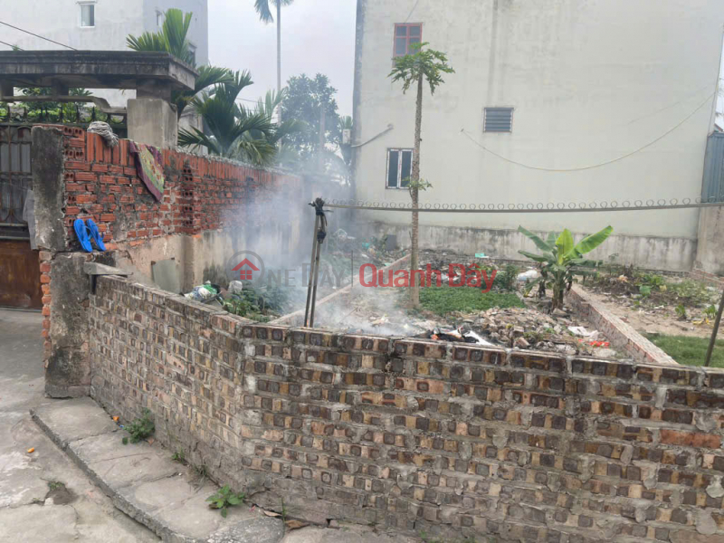 Property Search Vietnam | OneDay | Nhà ở Niêm yết bán | Hà Nội - Bán đất Tiên Hùng - Nguyên Khê - Đông Anh 60m 4,2 tỷ
