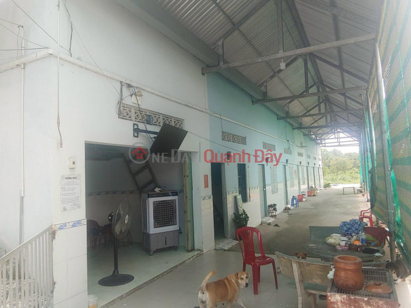 Property Search Vietnam | OneDay | Residential, Sales Listings Land for sale on Nguyen Kim Cuong, Tan Thanh Ward, Tay Hoc Mon, MT land, 3985m2, 10m ROAD, price reduced to 18.5 billion