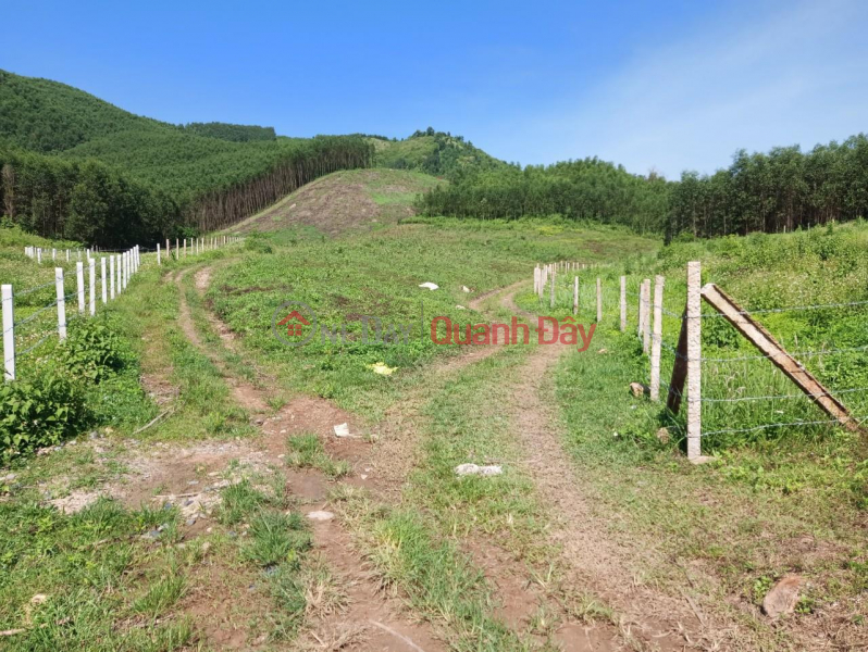 Property Search Vietnam | OneDay | Residential Sales Listings, Beautiful Land - Good Price - Owner Needs to Sell Land Lot in Nice Location In Khanh Nam Commune, Khanh Vinh