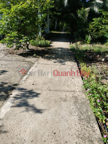Property Search Vietnam | OneDay | Residential | Sales Listings FOR QUICK SELL Land Lot And Front House Prime Location In Binh Thanh, Giong Trom, Ben Tre
