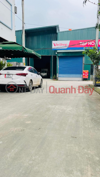 Need to sell main road of Ngai Duong Residential Expansion, Dinh Du, Van Lam, area 80m, Southeast direction Sales Listings